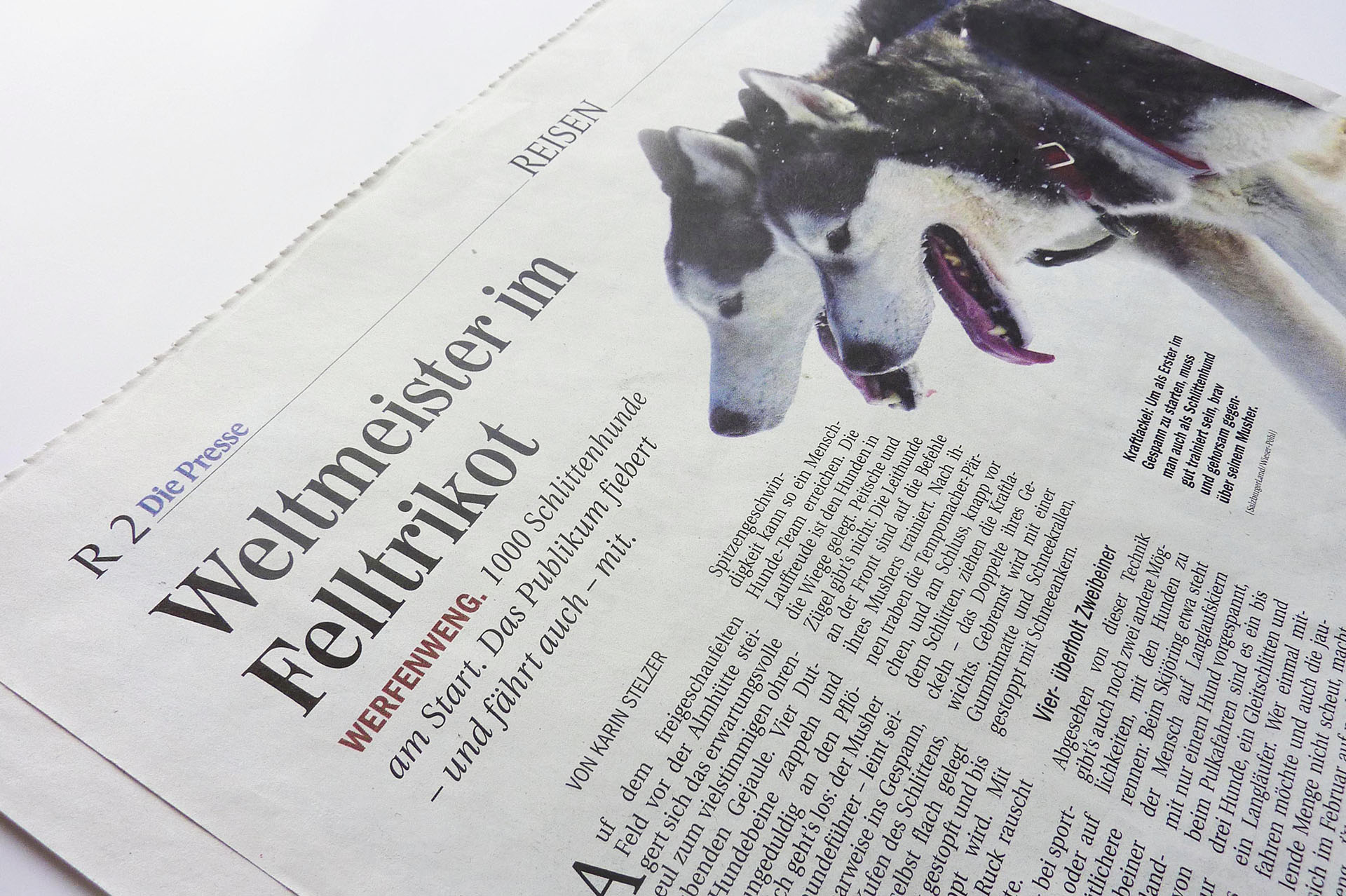 Presse_04_content